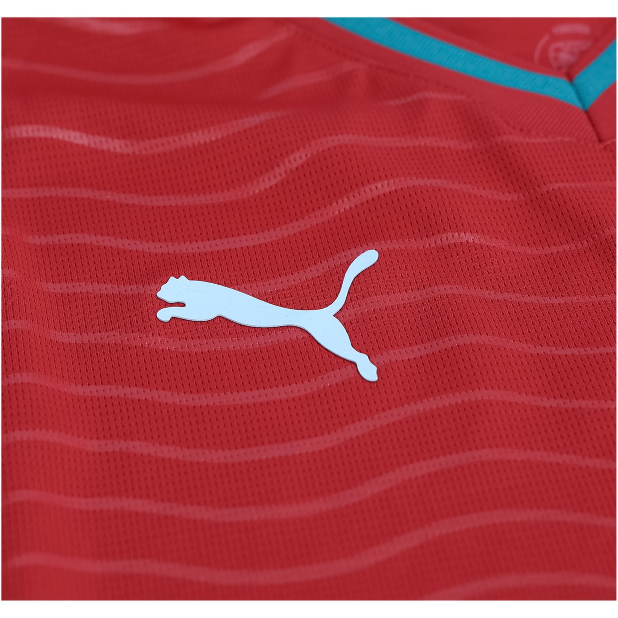 PUMA Men's Portugal Long Sleeve Home World Cup 2026 Jersey (Club Red/Green Lagoon)