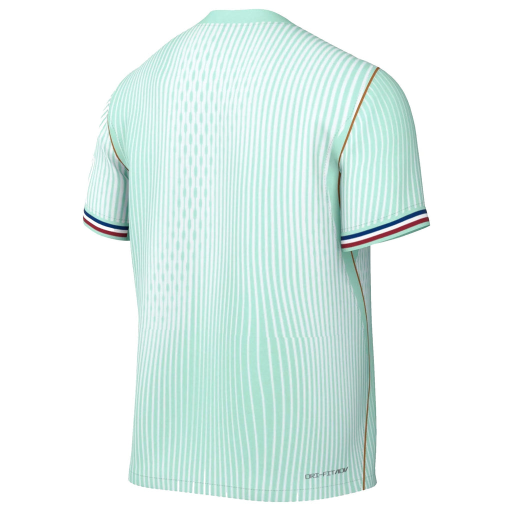 Nike Men's France Match Authentic Away Jersey 2026 (Igloo/Monarch)