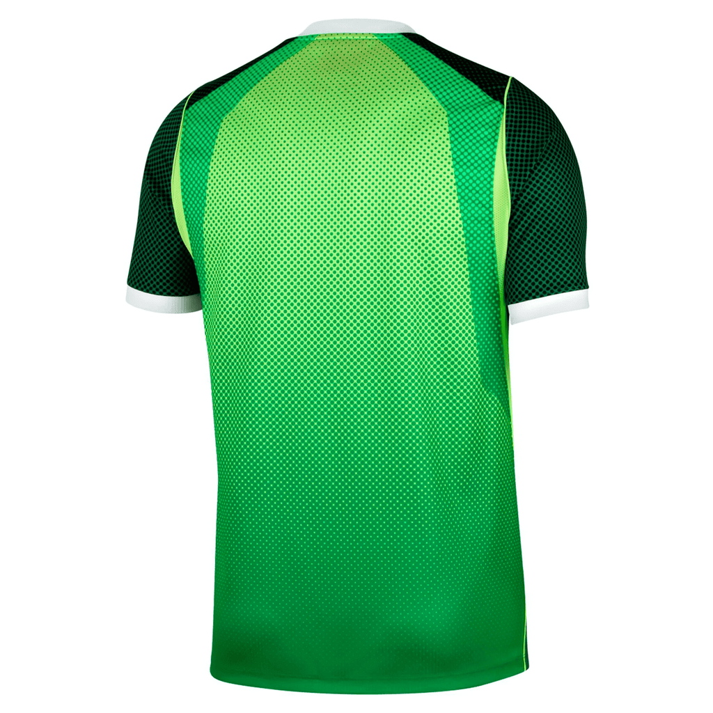 Nike Mens Nigeria Home Jersey 2026 (Green/White)