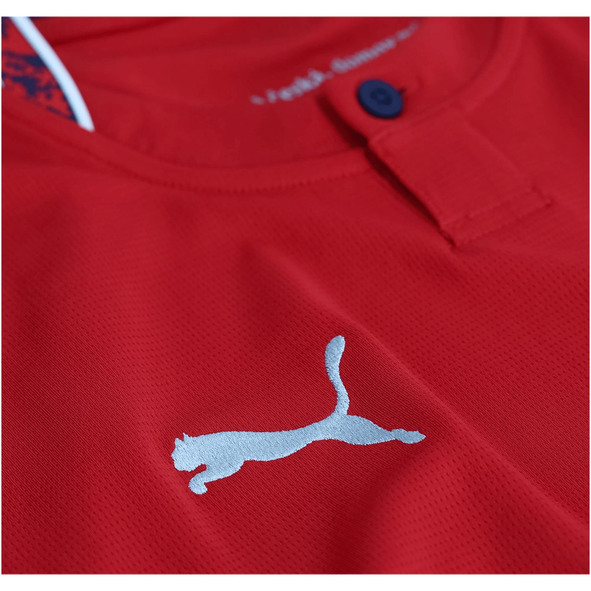 Puma Mens Czech Republic Home Stadium Jersey 2026 (Dark Cherry/Navy)